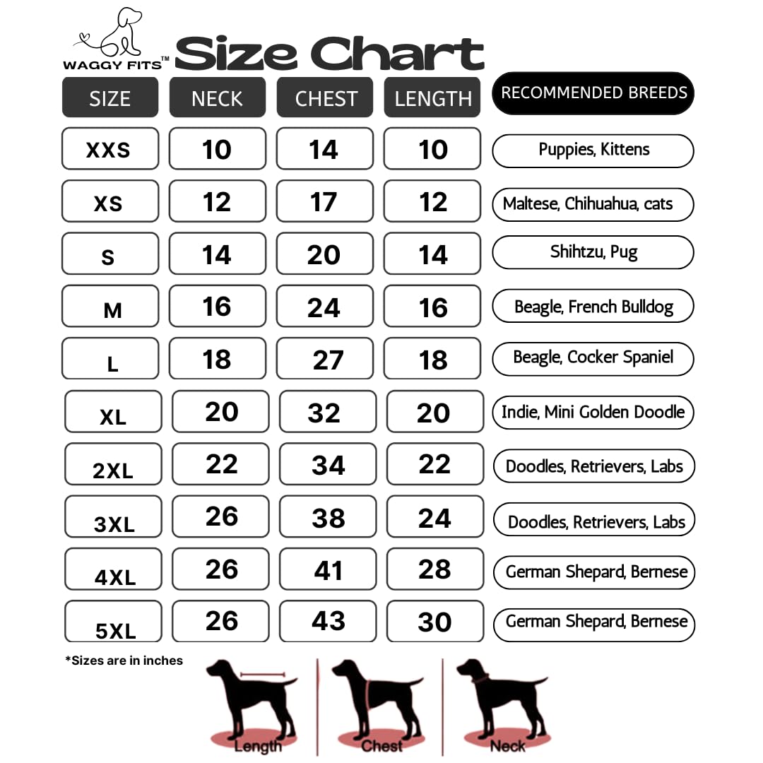 Waggy Fits Traditional Dog Sherwanis - Perfect for Weddings and Celebrations, Dog Clothes, pet cosutme, Indian pet Clothing, | Blue Dhamaka (5XL)