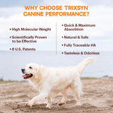 TRIXSYN Canine Performance - Dog Hip & Joint Supplement for Small, Large & Senior Dogs - Liquid Hyaluronic Acid Formula Patented MHB3 Hylauronan Liquid Formula - 72 Day Supply
