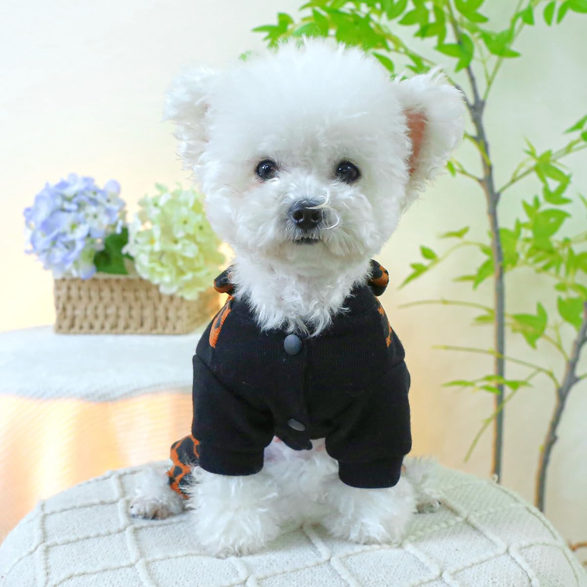 Dog Clothes Jumpsuit Stylish Winter Plaid Pet Shirts for Small Dogs Cute Floral Puppy Bib Overalls Classic Outfit Chihuahua Yorkies Boy Girl One Piece Birthday Holiday Apparel