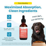 Paramount Pet Health Wild Alaskan Salmon Oil for Cats & Small Dogs, Supports Skin, Coat, Joint & Overall Well-Being, Pure & Premium Alaskan Salmon Oil for Dogs & Cats with No Fillers, 2 oz