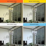FEIT ELECTRIC 60W BA10 E12 CANDELABRA WHITE FILAMENT LED LIGHT BULB 2700K