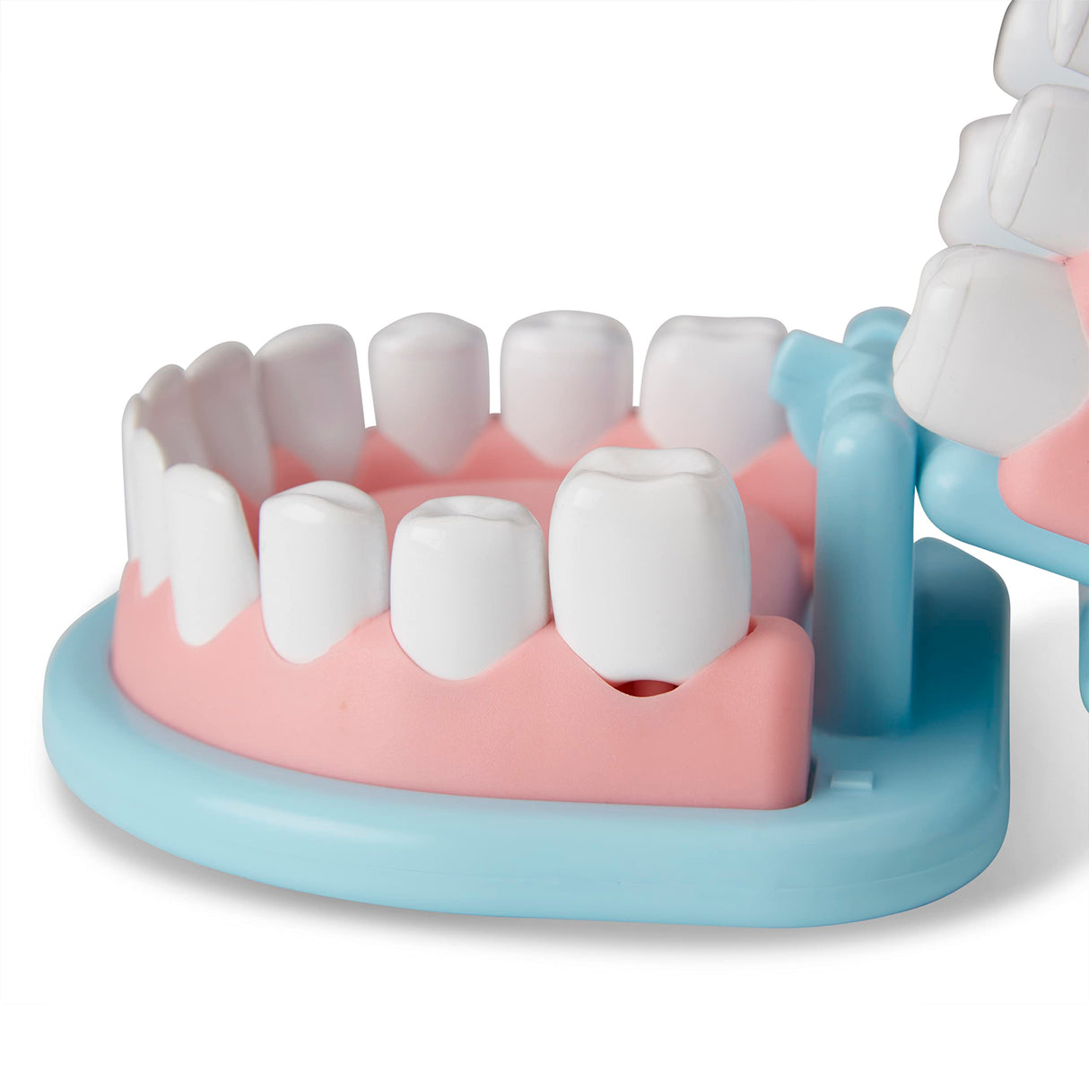 Melissa & Doug Super Smile Dentist Kit With Pretend Play Set of Teeth And Dental Accessories (25 Toy Pieces) - Pretend Dentist Play Set, Dentist Toy, Dentist Kit For Kids Ages 3+