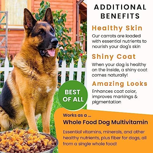 Olewo Original Carrots for Dogs – Fiber for Perfect Poop, Dog Food Toppers for Picky Eaters, Natural Skin & Coat Support, Multivitamin, Probiotics for Digestive and Gut Health, 5.5 lbs