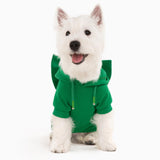 Allisandro Dog Hoodie with Interchangeable Bow Ties, Puppy Exquisite Pocket Doggie Winter Clothes, Pet Hooded Sweatshirt, L, Green