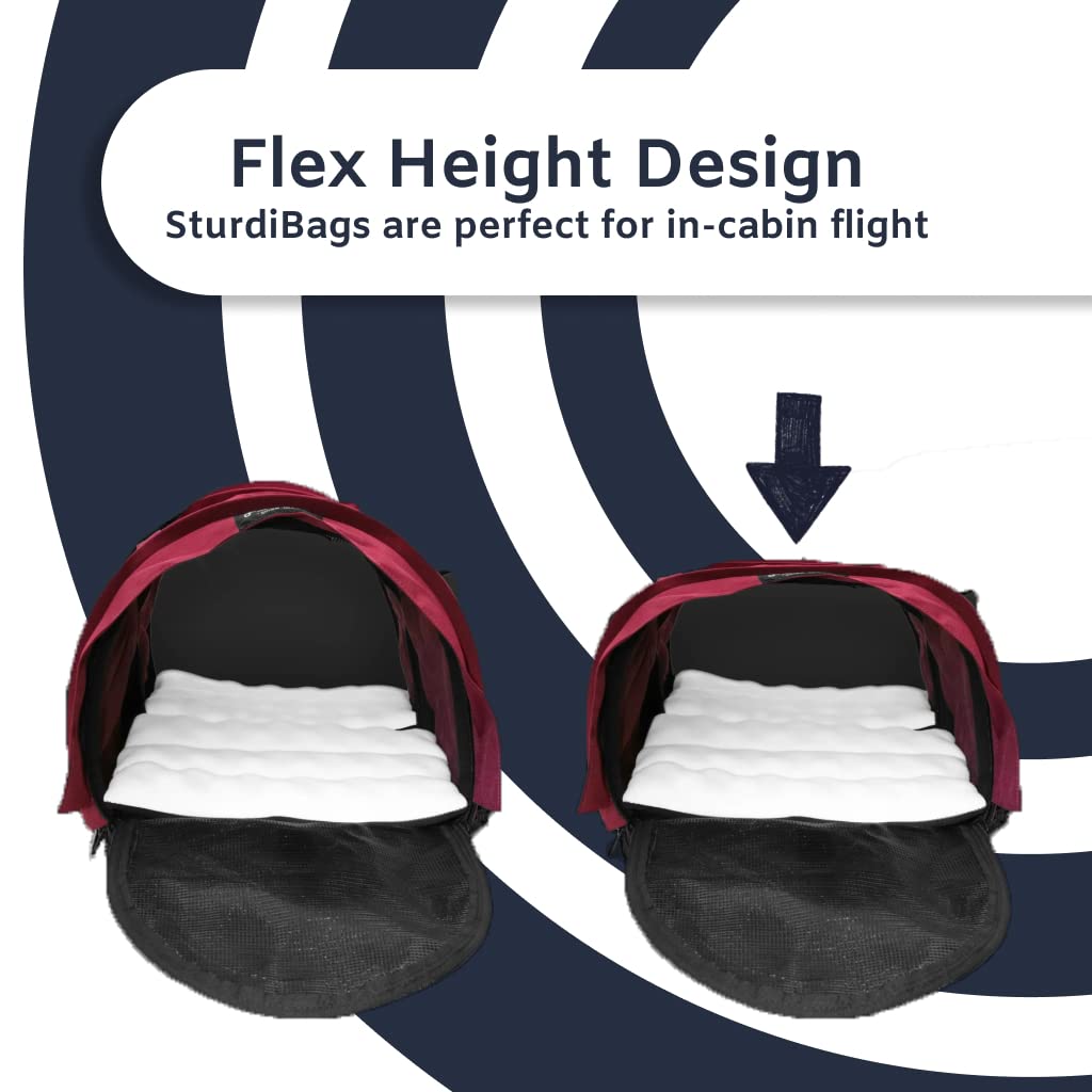 Divided SturdiBag X-Large Pet Carrier: Compartment for 2 Pets, Flexible Height for Cat and Dog Soft Sided with Safety Clips and Seatbelt Straps| Black, 20" x 16" x 12" (PN: SB3D-PRO-BL)