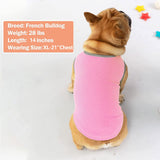 KYEESE 2 Pack Dog Cooling Shirts - Breathable Instant Cooling Vests, Lightweight for Summer Dog Apparel, Pink+Grey, Small
