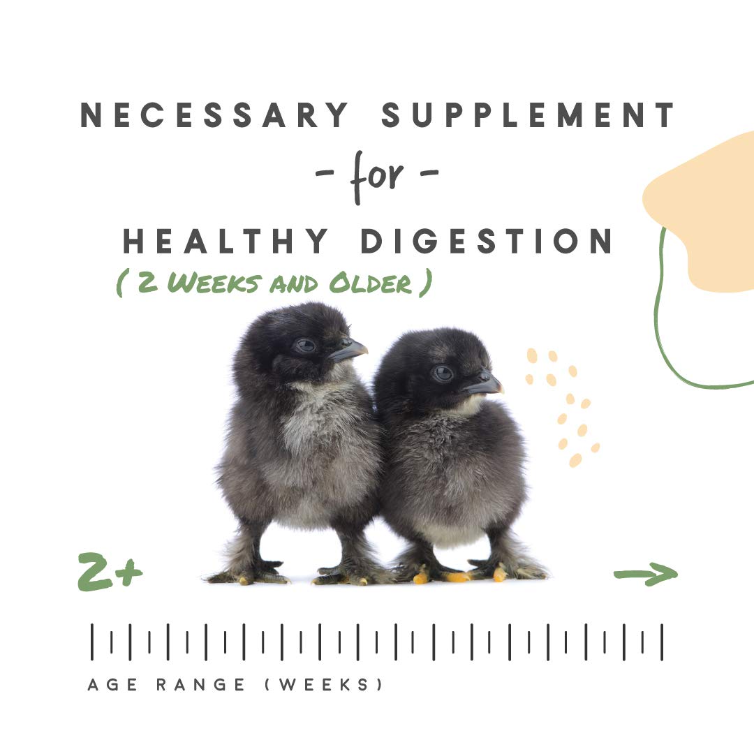 Manna Pro Chick Grit, Digestive Supplement for Young Poultry and Bantam Breed, Probiotics to Support Digestion, No Artificial Ingredients or Preservatives, Insoluble Crushed Granite, 25 lbs