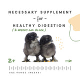 Manna Pro Chick Grit, Digestive Supplement for Young Poultry and Bantam Breed, Probiotics to Support Digestion, No Artificial Ingredients or Preservatives, Insoluble Crushed Granite, 25 lbs