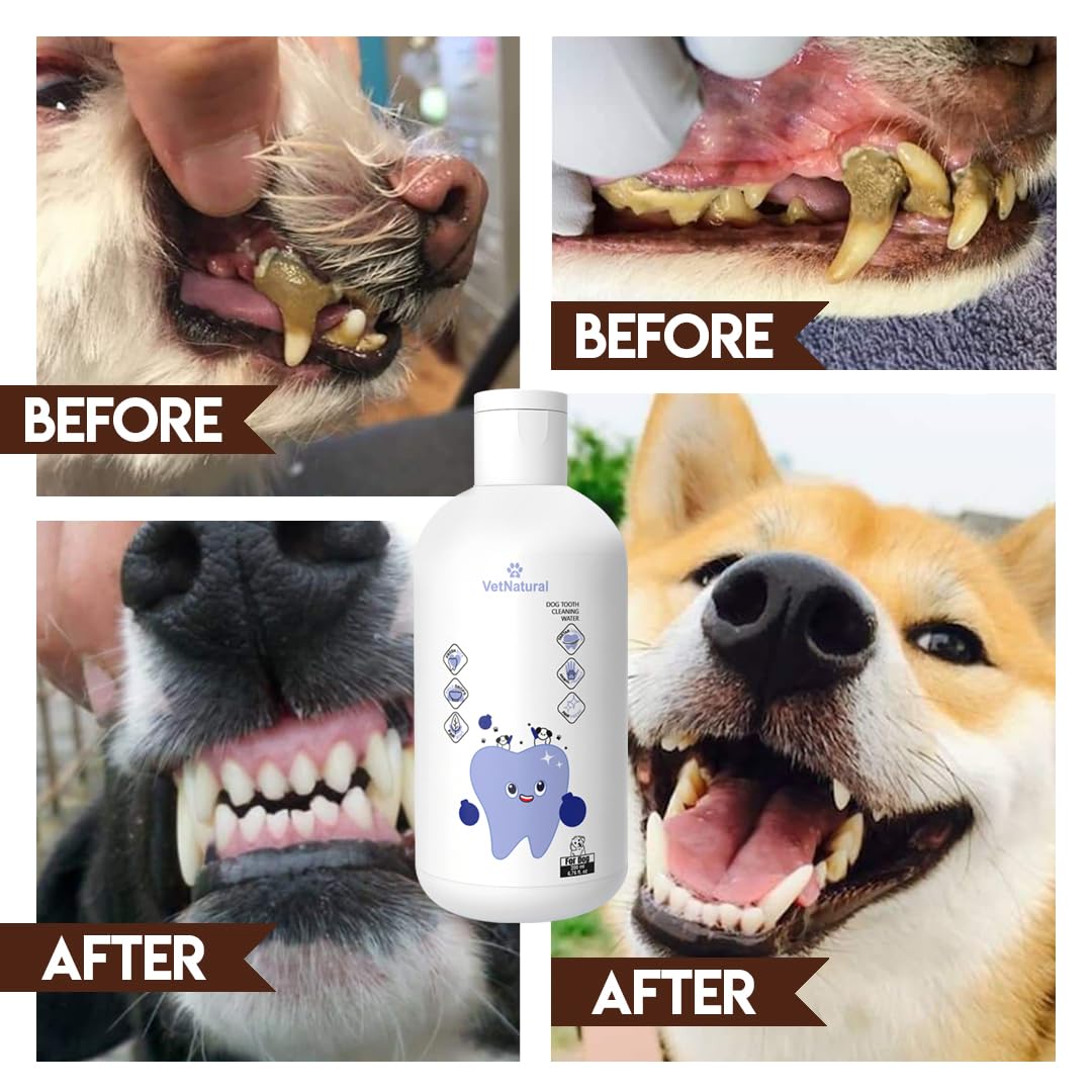 PawBright Dental Plus, Dog Dental Plus Water Natural, Odorless & Flavorless Formula to Fight Tartar Promote Healthy Gums, Easy Daily Use for All Pet 1pcs (8.45oz)