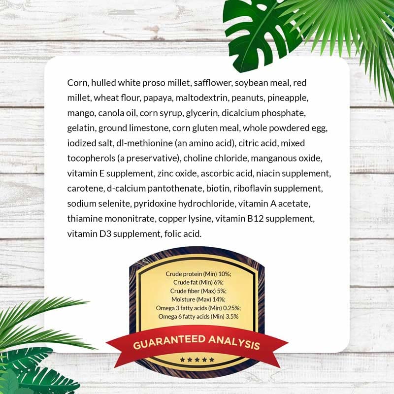 LAFEBER'S Tropical Fruit Nutri-Berries Conure Food, Made with Non-GMO and Human-Grade Ingredients, for Conures (Tropical Fruit 10 oz Pack of 2)