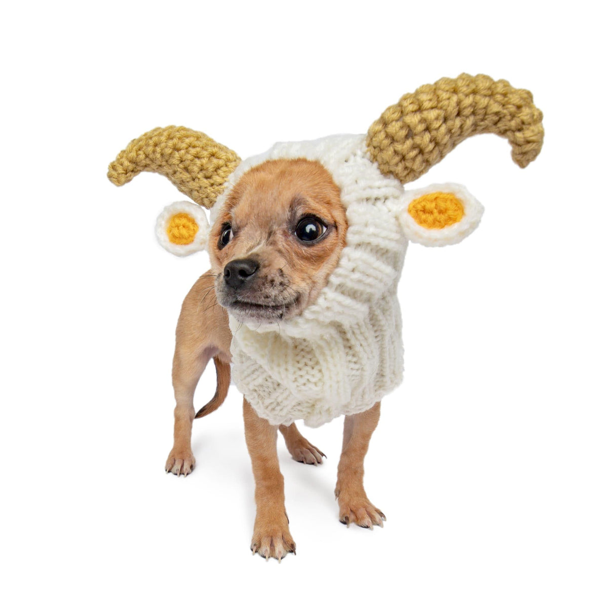 Zoo Snoods Ram Goat Costume - Warm Knit Dog Snood Wrap for Pets, Neck Ear Cover Protection, Halloween Winter (Small)