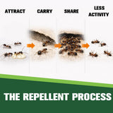 Ant Repellent Indoor Pet Safe, Ant Repellent Outdoor, Get Rid of Ant, Keeps Ants Away, Ant Deterrent for Home, Protects up to 120 sq ft, Natural Ingredients, People/Pet/Plant Friendly- 4P