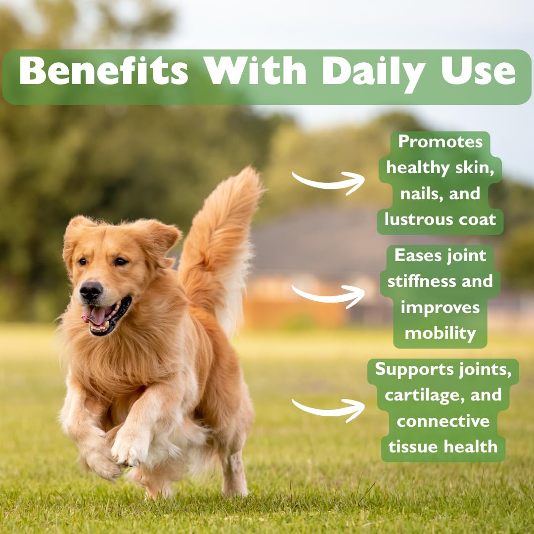 KALA HEALTH PeakTails MSM Powder for Dogs – 1 lb, Pure Organic Sulfur, Supports Joint Health, Mobility & Comfort – US-Sourced MSM, Flavorless Powder