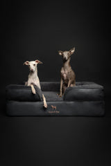 NOAH & PAW Large Dog Bed, 35x25x11 Inch, Orthopedic Dog Beds, Eggshell Memory Foam Infused with Cooling Gel, Inner Cover, Waterproof, Machine Washable (Faux Leather Sofa Collection)