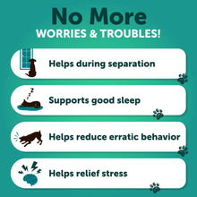 Load image into Gallery viewer, Hemp Calming Chews for Dogs - Dog Calming Chews - Dog Anxiety Relief Treats with Hemp Oil, Turmeric, Valerian, Ginger - Health and Wellness Supplements for Dogs - Hip and Joint Support - 120 Treats
