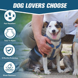 AMDEIUR Flea and Tick Collar for Puppies, Dog Tick Collars, Flea Collar for Small Dogs, Waterproof, 8 Months Protection Each, One Size Fits All-2P