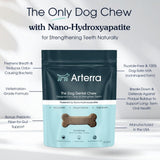 Arterra Pet Science Dog Dental Chews with Nano-Hydroxyapatite Next-Generation Daily Chews for Stronger Teeth, Fresh Breath, and Healthy Gut, 14 Count, Pack of 1
