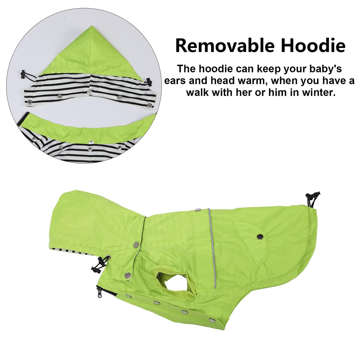 Dog Raincoat Waterproof Raincoats Dog rain Jacket Buttons Zipper Hood Drawstring Suitable for Small Medium Yorkie Terrier Schnauzer Poodle Border Collie Labrador 8lbs to 80lbs Green M
