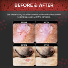 Load image into Gallery viewer, Petazy 2% Chlorhexidine Wipes for Dogs 3X Larger | Yeast Infection Ringworm Fungus Hot Spot Itch Relief | Medicated Antibacterial Antifungal Gentle Soothing Topical Wipes for Dog Cat | 50 Wipes 5x6
