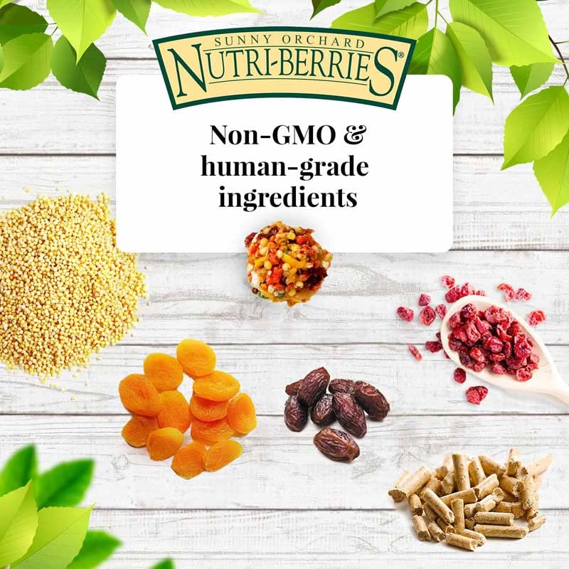 LAFEBER'S Sunny Orchard Nutri-Berries Pet Bird Food, Made with Non-GMO and Human-Grade Ingredients, for Cockatiels Conures Parakeets (Budgies) Lovebirds (Sunny Orchard 10 oz Pack of 2)