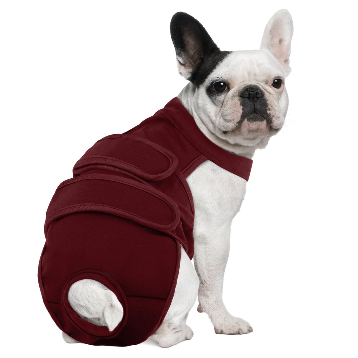 Leletail Dog Diapers Female Reusable Washable Period Diaper with Suspender,Adjustable Dog Panties Anti-Harassment, Doggie Diapers for Incontinence, Heat Cycles, or Senior Dogs（XS-XL