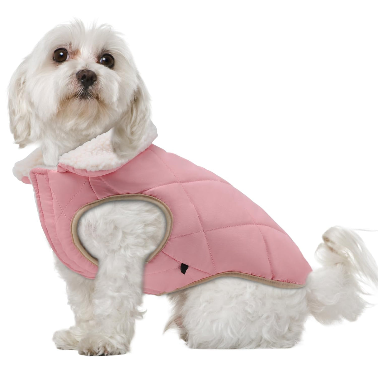 EMUST Quilted Warm Small Dog Winter Coat - 2 Layers Fleece Lined Doggie Puffer Vest for Cold Weather with Leash Hole, Cream, XS