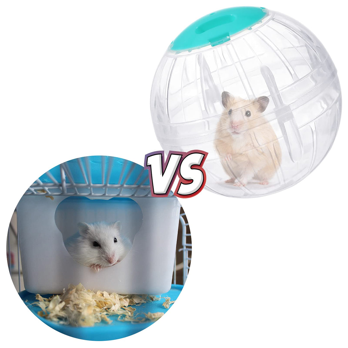 2 Pieces Hamster Exercise Ball, 5.7 Inch Guinea Pigs Running Ball Transparent Plastic Hamster Wheel for Dwarf Rabbits Small Pets to Reduce Boredom and Increase Activity