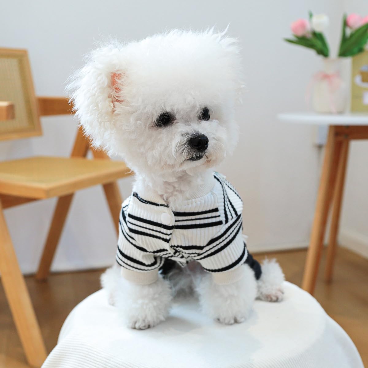 Dog Winter Clothes Pet Stylish Overalls for Small Medium Dogs Cute Puppy Jumpsuit Classic Small Dogs Boy Girl Clothes Comfortable Breathable Dog Bib Overalls Chihuahua Yorkies One Piece Outfits