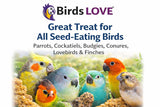 5lbs Wholesome Spray Millet for Birds – USA Grown, Harvested & Packed – 100% Natural Sun-Dried Millet Clusters – for Parakeets, Cockatiels, Conures, Budgies, Finches & All Parrots