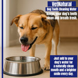 PawBright Dental Plus, Dog Dental Plus Water Natural, Odorless & Flavorless Formula to Fight Tartar Promote Healthy Gums, Easy Daily Use for All Pet 1pcs (8.45oz)