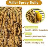 Jmxu's 2LB Spray Millet Treat for Birds Parakeets, Natural Sun-Dried Birds Millet for Cockatiel, Finches, Parrots, Hamster
