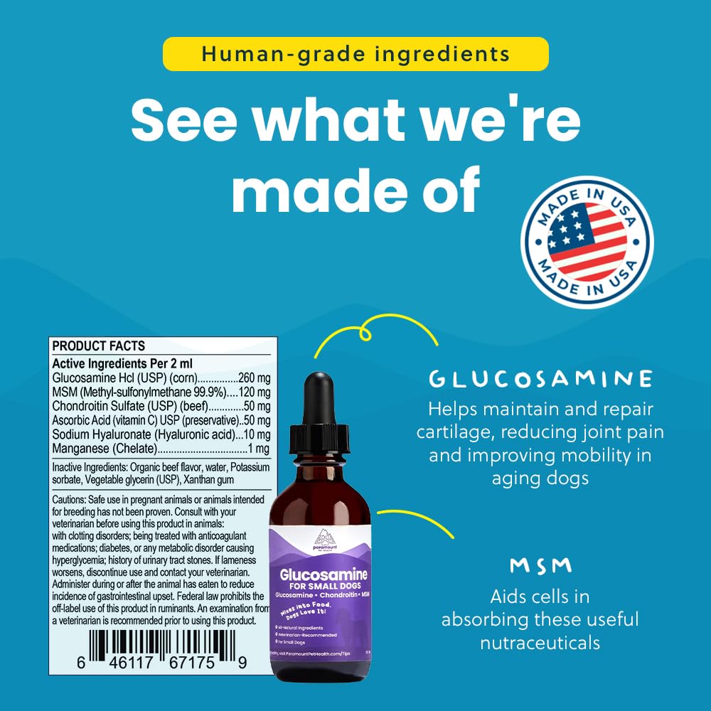 Paramount Pet Health Liquid Glucosamine for Small Dogs, 260mg Glucosamine Liquid for Dogs Joint Supplement for Mobility & Comfort, Easy-to-Use Liquid MSM & Chondroitin, 2 oz