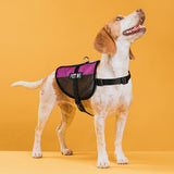 Dogline 22"-29" MaxAire Multi-Purpose Mesh Vest for Dogs and 2 Removable PET ME Patches, Large, Pink