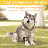 Agon® Dog Canine Front Leg Brace Paw Compression Wraps with Protects Wounds Brace Heals and Prevents Injuries and Sprains Helps with Loss of Stability Caused by Arthritis (Large/X-Large)
