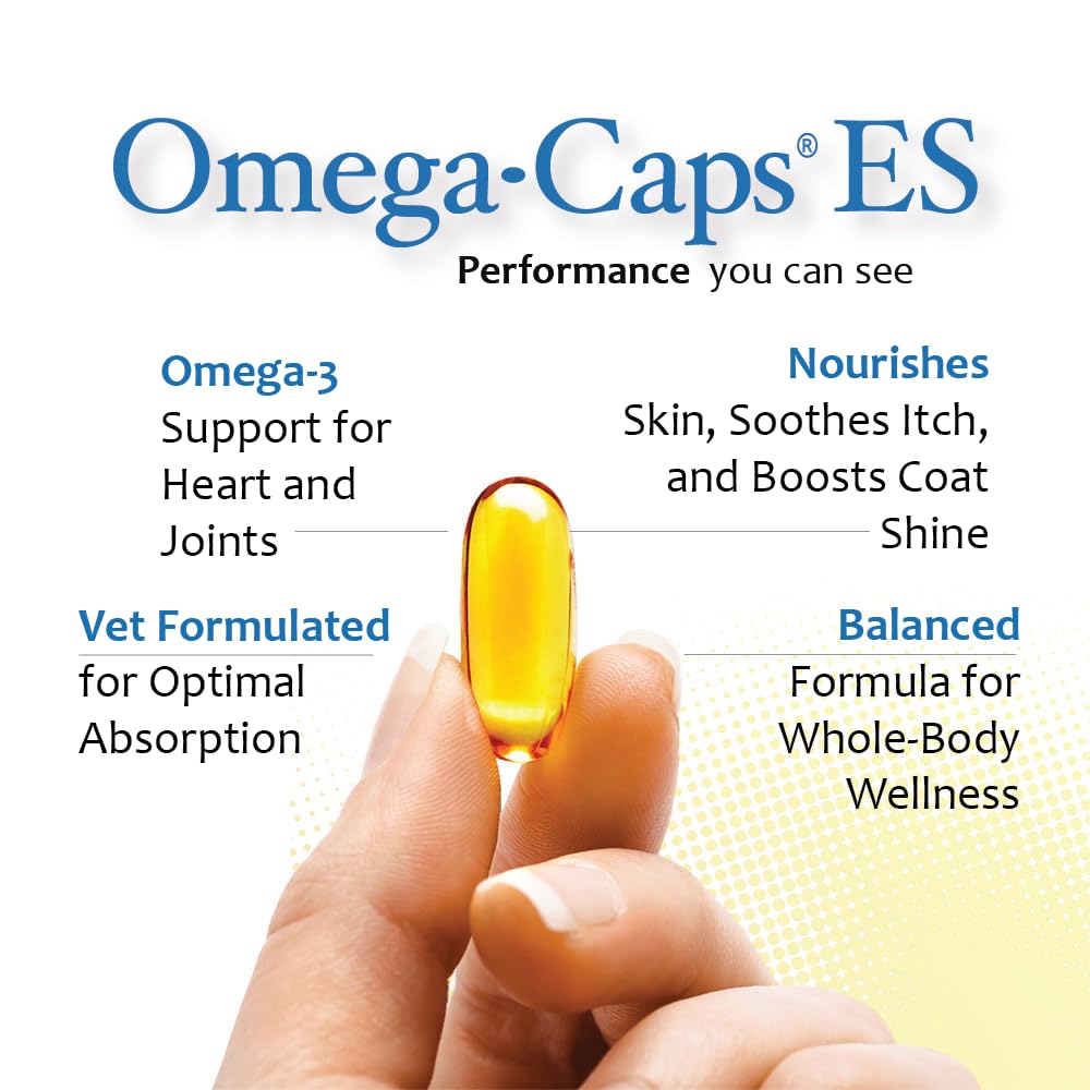 Omega Caps ES Extra Strength for Large and Giant Dogs Omega-3 and Omega-6 Fatty Acid Antioxidant Supplement Vet Formulated Made in USA Skin Coat Joint Heart and Immune Health 60 Softgel Capsules