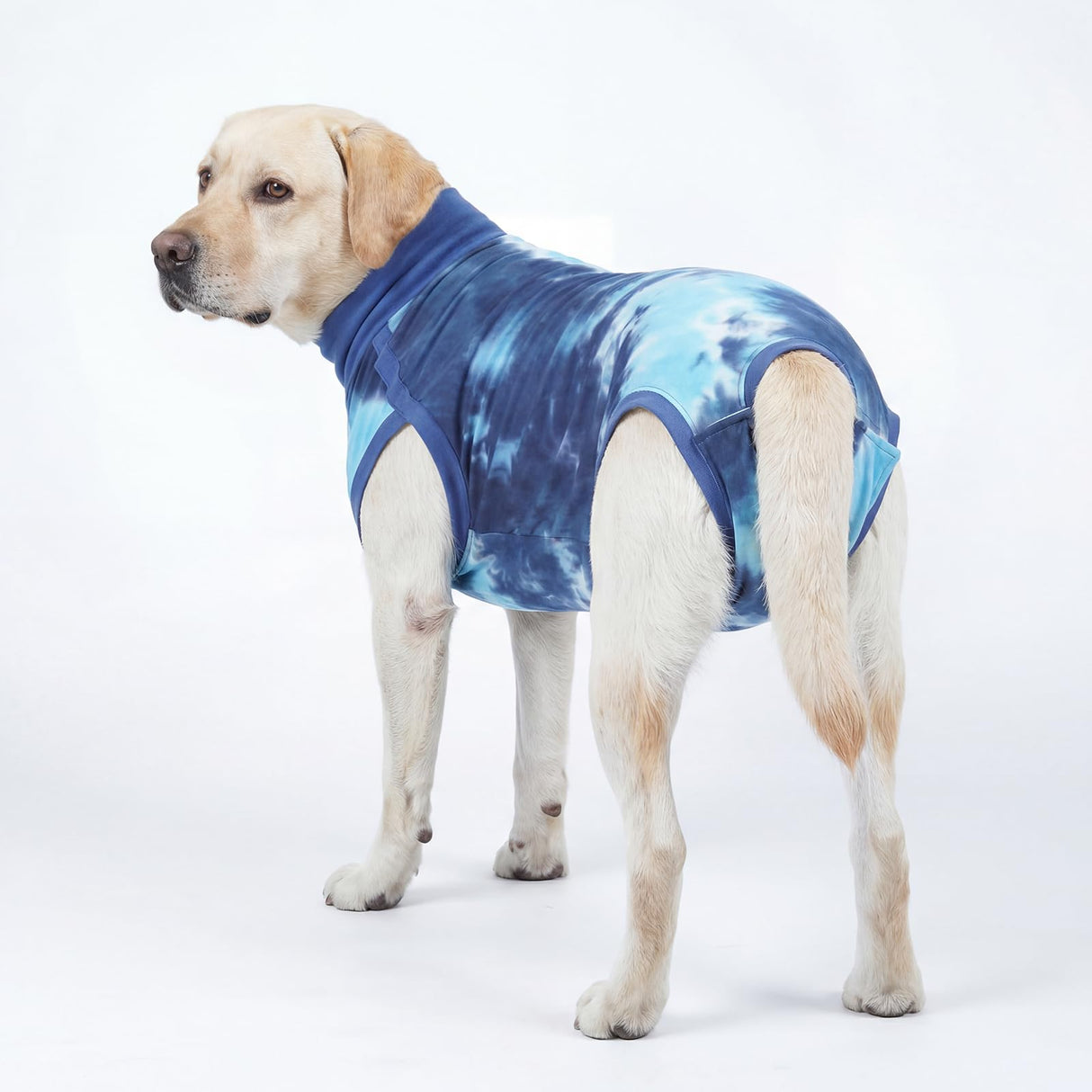 pangdi Recovery Suit for Dogs After Surgery, Spay Suit Female Spay & Male Neuter, Dog Onesie Body Suits for Post-Surgical, Abdominal Wounds and Skin Conditions, Blue, XL