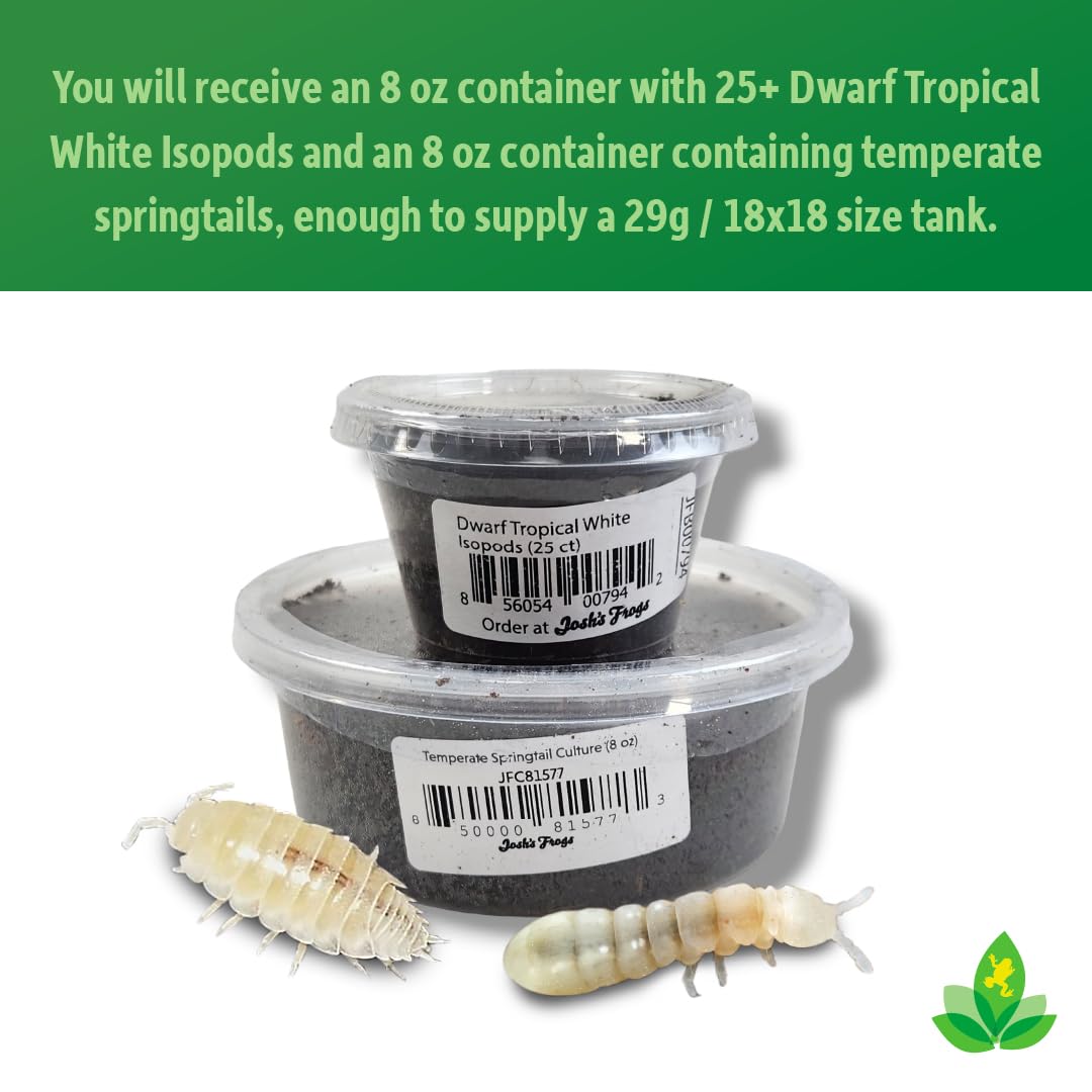Josh's Frogs Dwarf Tropical White Isopods (25 ct) and Temperate Springtails (8oz) Bioactive Clean Up Crew Bugs Bundle