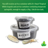 Josh's Frogs Dwarf Tropical White Isopods (25 ct) and Temperate Springtails (8oz) Bioactive Clean Up Crew Bugs Bundle