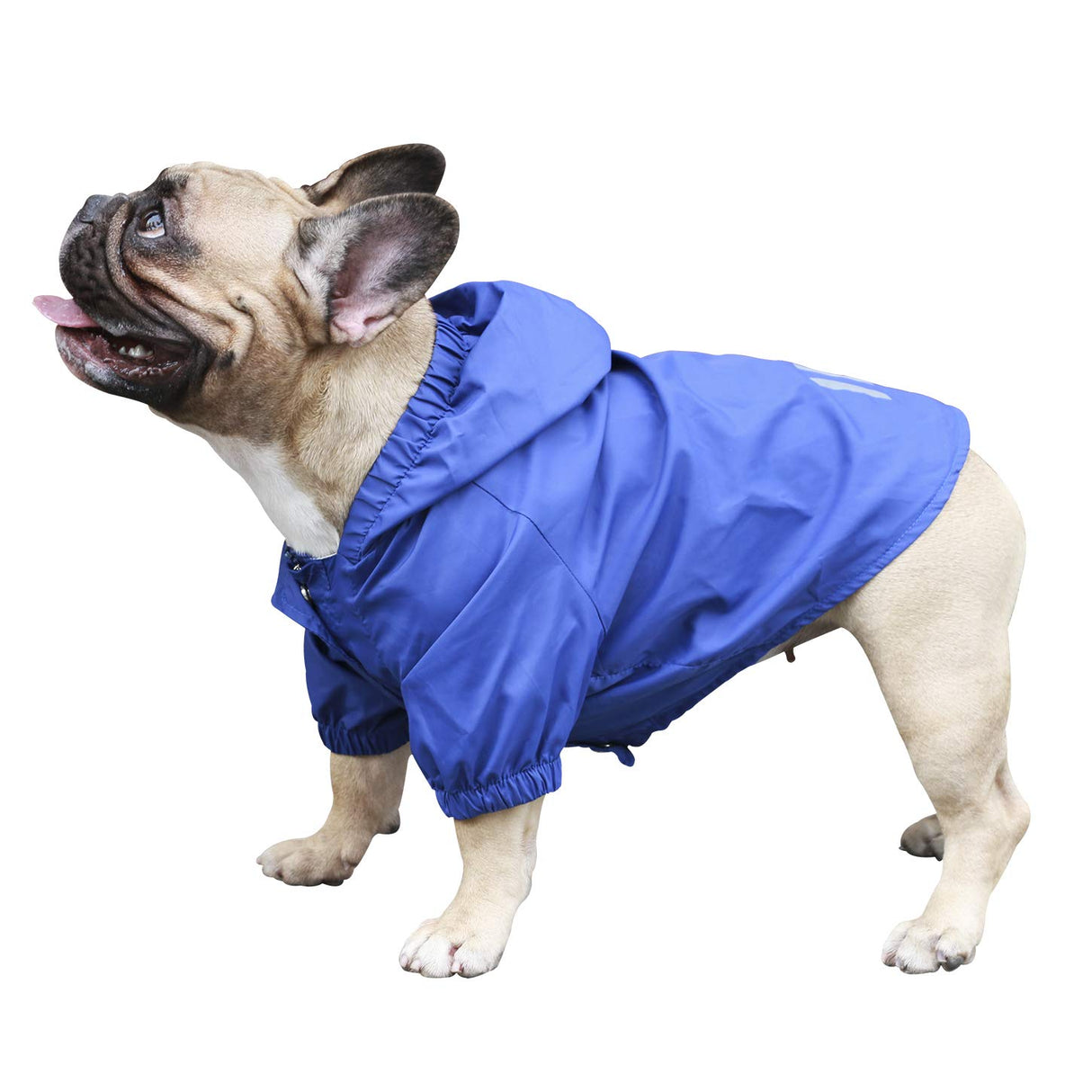 iChoue Dog Cold Weather Coats Water Resistant Raincoats Lightweight Windbreaker Hooded Jackets for French English Bulldog Pitbull Pug Boston Terriers Outdoor Rain Coat - Blue, X-Large