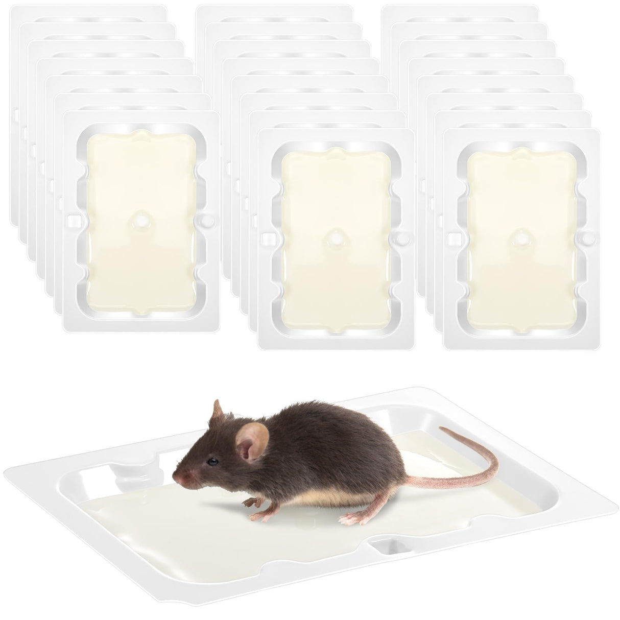 Qualirey 24 Pack Baited Glue Traps Sticky Mouse Trap Rat Traps Indoor Rodent Killer Baited Trays Rat Mouse Exterminator Plastic Sticky Non Toxic Mice Trap for Home Indoor Outdoor Mice Rats Rodent