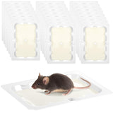 Qualirey 24 Pack Baited Glue Traps Sticky Mouse Trap Rat Traps Indoor Rodent Killer Baited Trays Rat Mouse Exterminator Plastic Sticky Non Toxic Mice Trap for Home Indoor Outdoor Mice Rats Rodent