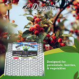Digger’s 1-Gallon Heavy-Duty Wire Basket - Gopher Wire Basket for Perennials & Vegetables (12 Baskets)