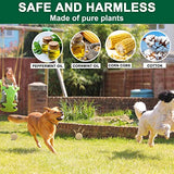 TSCTBA Rodent Repellent Indoor and Outdoor, Natural Mouse Repellent, Pest Control, Mice Repellent for House,Peppermint to Repel Mice, Mouse and Rats, New Upgrade and Really Effective - 8 Packs