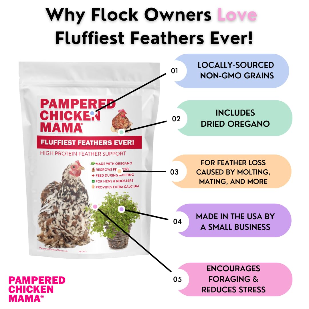 Pampered Chicken Mama Backyard Chicken Molting Supplement: Fluffiest Feathers Ever Backyard Chicken Feed and Supplies for Hens (6 Pound Economy Size)