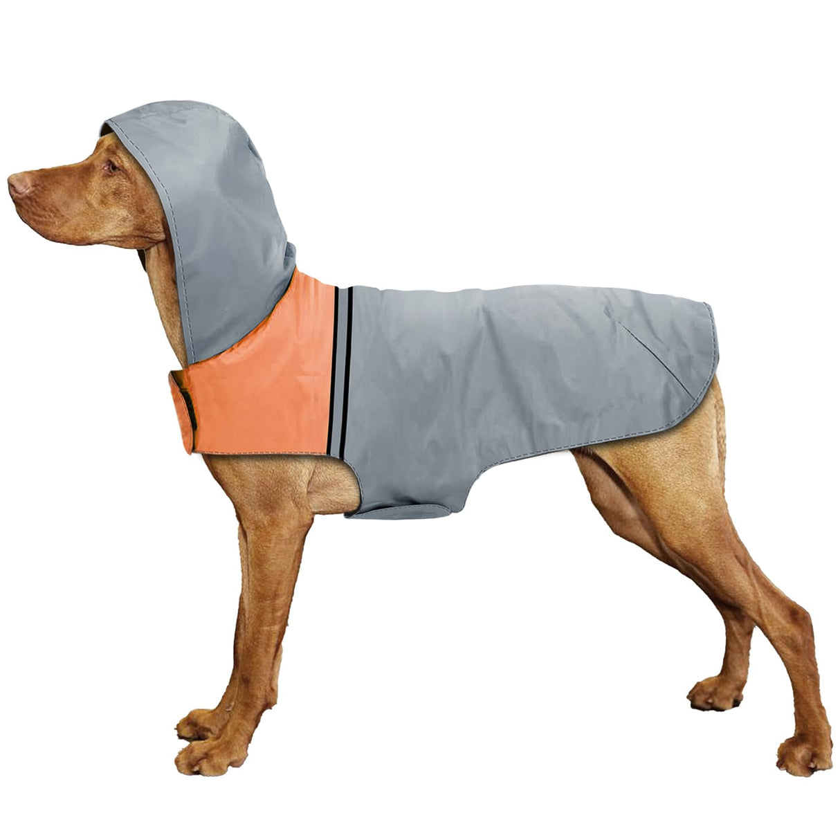 Dog Raincoat with Reflective Strip, Ultra Light Breathable Waterproof Dog Rain Jacket, Adjustable Waterproof Dog Raincoat with Hood, Suitable for Small, Medium, and Large Dogs (Grey, XL)