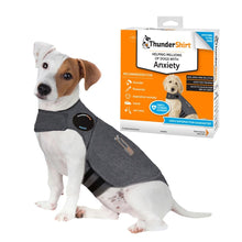 Load image into Gallery viewer, ThunderShirt for Dogs, Small, Heather Gray Classic - Dog Anxiety Relief Calming Vest
