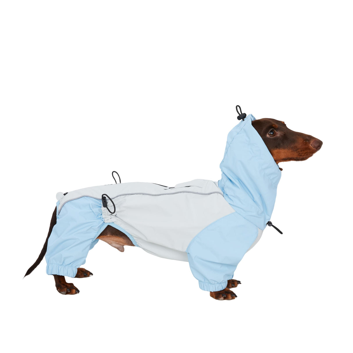Dachshund Dog Raincoat with Legs, Waterproof Full Body Jacket, Hooded Outdoor Windbreaker for Small & Medium Dogs, Mini Dachshund Puppy Coat (Medium (13-17 lbs))