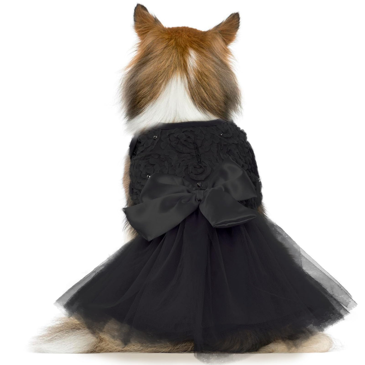 QBLEEV Dog Wedding Dress - Bowknot Dog Attire, Black Lace Tutu Skirt for Small Dogs, Halloween Princess Dress