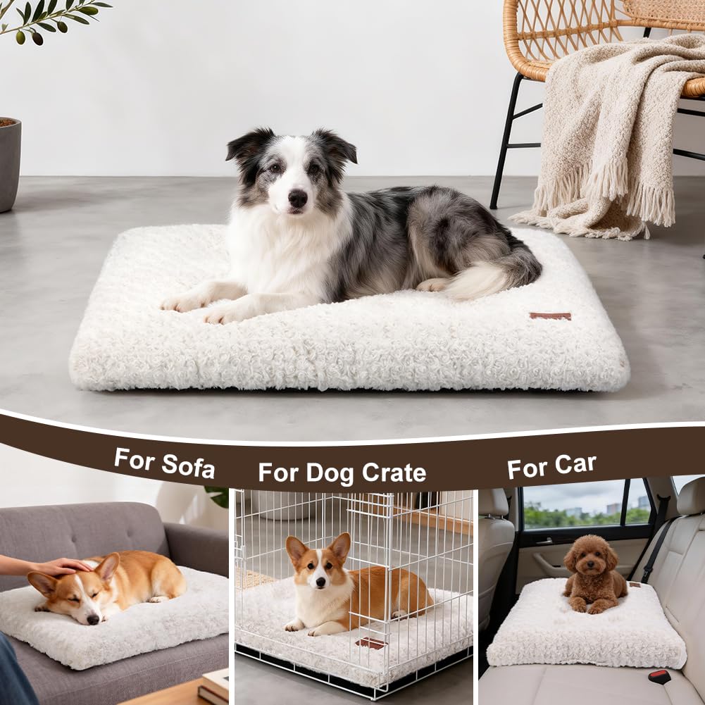 Dog Bed Crate Pad - Rosette Pattern White Velvet Pet Bed Anti-Slip Comfy Kennel Pad for Crates Rosette White M
