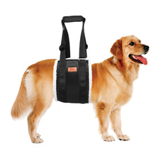 Load image into Gallery viewer, Adjustable Dog Lift Harness Dog Sling for Large Dogs Hind Leg Support Soft Lift Support and Rehab Harness for Weak Rear Legs, Helps Senior, Injured, Disabled and After ACL Surgery Dogs Large
